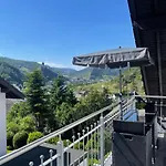 Burg,mosel,tal-blick *