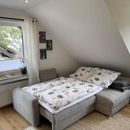 Burg,mosel,tal-blick * קוכם